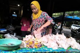 Harga ayam potong di Tapin tembus Rp40 ribu