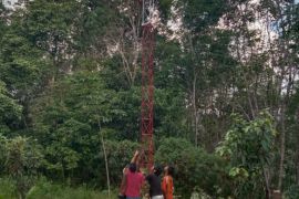 Diskominfo Tabalong bangun penguat sinyal di kawasan terpencil