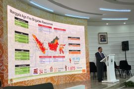 Kebakaran hutan dan lahan turun, langkah maju Indonesia turunkan emisi karbon