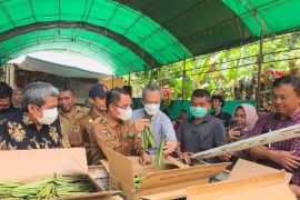 Wabup Sigi dorong petani menanam tanaman vanili