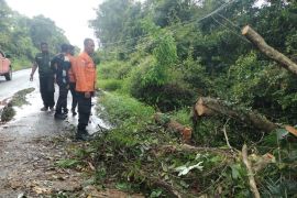 BPBD: Warga Muba diminta mewaspadai cuaca ekstrem