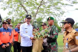 Galeri Foto - Bupati Banjar serahkan bibit tanaman