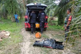 Gegana Brimob ledakkan mortir 30 kilogram yang ditemukan di perkebunan LNK Hinai