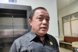 Penanganan jalan nasional ruas Satui Kalsel disarankan cari akar permasalahan