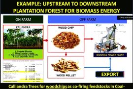 Pengamat apresiasi Adaro garap pembangkit listrik berbasis EBT