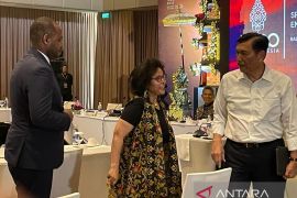 Menko Marves tawarkan potensi ekonomi Indonesia kepada Afrika
