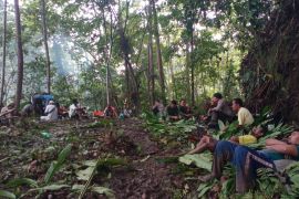 Tujuh WNA Jerman yang hilang di hutan Halmahera dilaporkan selamat