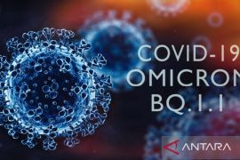 Ketahui tentang subvarian Omicron XBB.1.5?