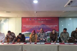Kemenko Marves dukung program rehabilitasi mangrove di Maluku Utara