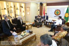 KBRI Tokyo dorong pembukaan akses buah mangga