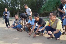 Pokmas Wahana Bahari Paloh dapat bantuan konservasi penyu