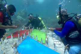 Pertamina tenggelamkan 50 ribu bibit terumbu karang di "Bangsring Underwater"