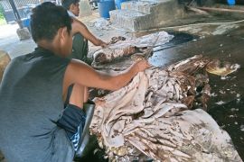 Mengintip besaran UMK Pekanbaru 2023