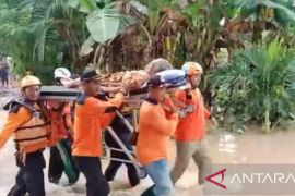 Hujan intensitas tinggi akibatkan banjir sejumlah desa di Ngawi