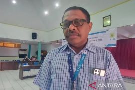 PLN: Masyarakat jangan pasang bendera dekat jaringan listrik