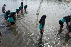 500 siswa di Parigi  dilibatkan penanaman bakau rangkaian Harkanas