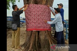 Baru dipasang sepekan, kain cual di pantai Pasir Padi hilang