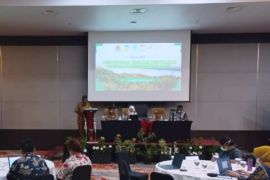 Dishut Papua susun RKTP guna menjaga penurunan emisi gas rumah kaca