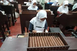 TTN: Resesi ekonomi global tidak pengaruhi ekspor cerutu di Jember