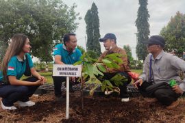 Minamas Plantation bentuk sekolah peduli api antisipasi Karhutla