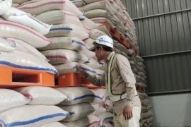 Bulog Lampung akan operasi pasar stabilkan harga pada akhir tahun
