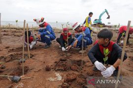 Memulihkan asa yang terkikis abrasi