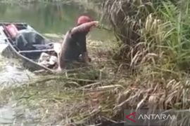 Air yang merendam ratusan rumah di Tapsel sulit surut, diduga ini penyebabnya