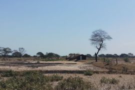 Petani di wilayah Andes Amerika Selatan berdoa minta hujan akhiri kekeringan