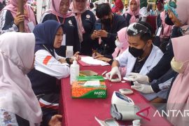 Ribuan bidan meriahkan HUT ke-71 IBI di Inhu