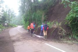 BPBD Probolinggo: Akses menuju Gunung Bromo bisa dilalui usai pembersihan longsor