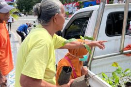 Peringati Hari Pohon Sedunia, MCC bagikan 250 bibit pohon gratis kepada warga