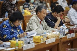 Menteri ESDM tekankan transisi energi global dalam pertemuan IRENA