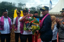 Pemerintah sudah kaji pemasaran sorgum hingga ke tingkat internasional