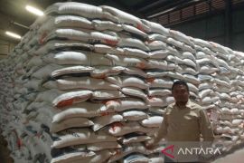BPS sebut kenaikan harga beras mulai melemah