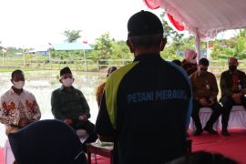 Petani Merauke keluhkan kemahalan harga BBM dan pupuk