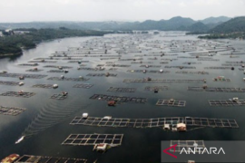 Pemkab Purwakarta dan Satgas Citarum Harum tertibkan keramba di Waduk Jatiluhur