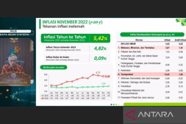 BPS: Inflasi tahunan menurun jadi 5,42 persen pada November