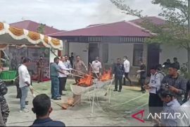 Kejari Ketapang musnahkan barang bukti kejahatan