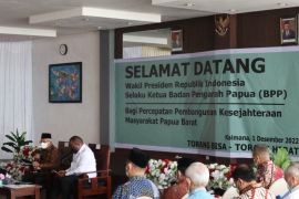 Wapres: Pembentukan empat DOB di Papua sudah luar biasa
