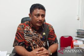 Dana desa 2023 di Manokwari fokus tangani stunting