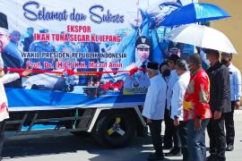 Ma'ruf Amin lepas ekspor ikan tuna Biak ke Jepang