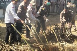 Balai Karantina Pertanian musnahkan 570 lembar kulit ular