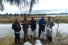 Petani tambak Lama Muda terima bantuan bibit ikan