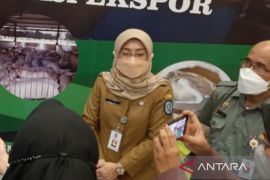 Pemprov Kepri bagikan 30 ribu bibit cabai untuk ditanam di rumah warga