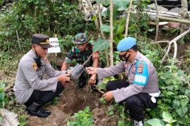 Penanaman sejuta pohon di Ebung Lombok jaga keseimbangan alam