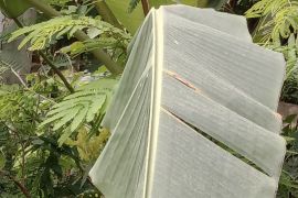 Ampelgading-Malang alami hujan abu vulkanis akibat erupsi Semeru