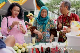 Ewindo dan Itera gelar lomba kreativitas displai jagung manis