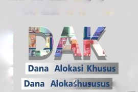 Pesisir Selatan peroleh DAK Rp22,8 miliar untuk pertanian dan peternakan