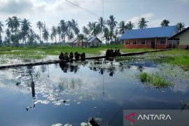 Pendangkalan sungai bikin banjir di Meranti tak surut, Pemprov diminta turun tangan