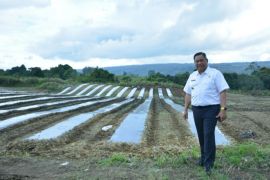Pemkab Dairi komitmen bantu pengendalian inflasi